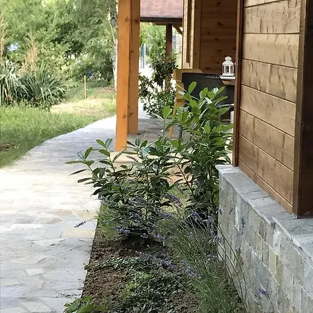 Tatil Evi Friends