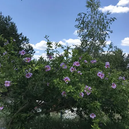 Semesterbostad Friends