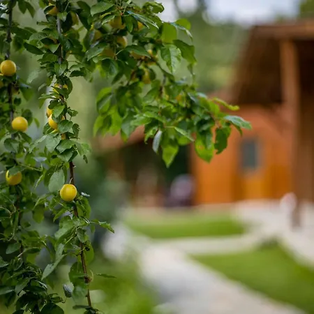 Semesterbostad Friends *