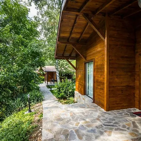 Friends Semesterbostad