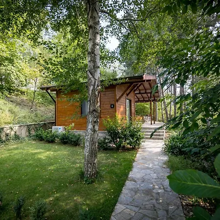Tatil Evi Friends