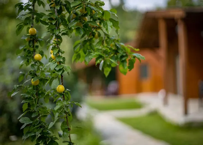 בית נופש Friends *