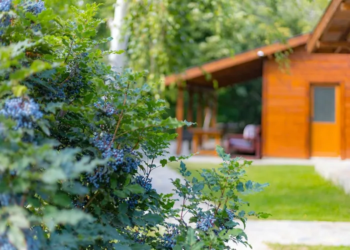 בית נופש Friends *