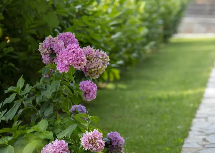 Friends * Kŭrdzhali